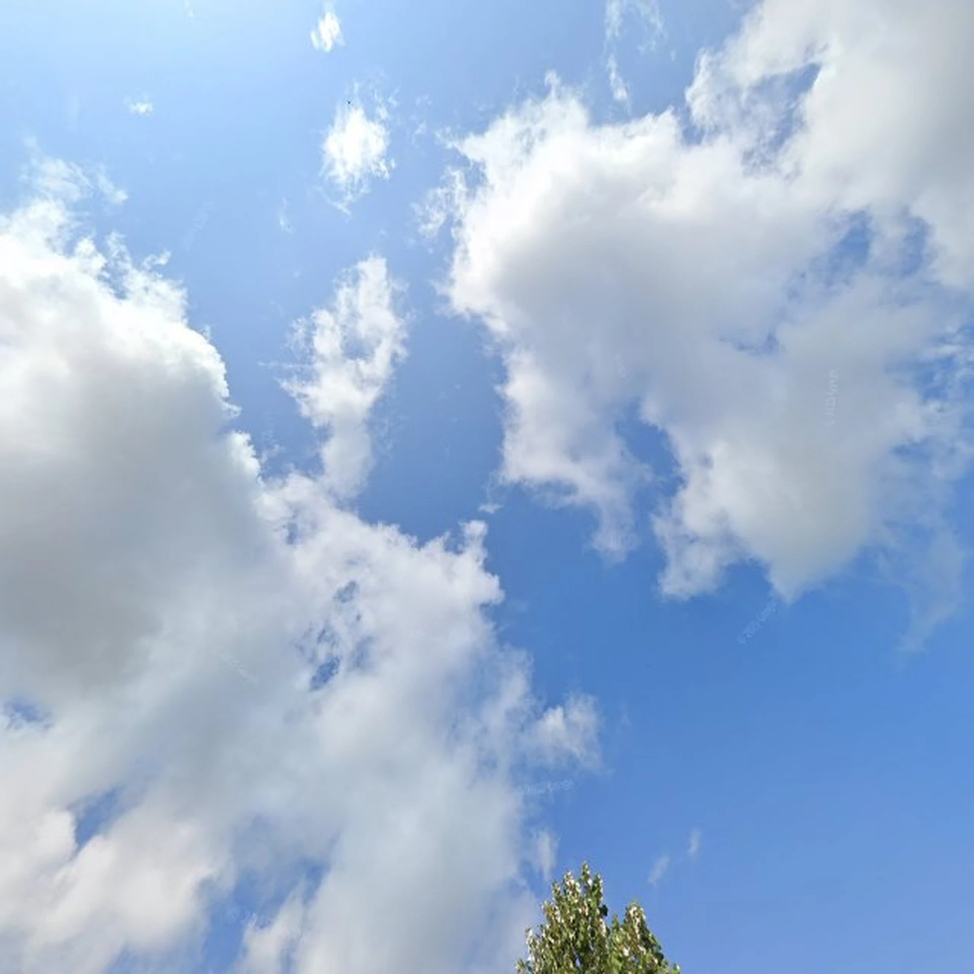 Kringloopwinkel Kringloopwinkel Kroeshoek in Terborg