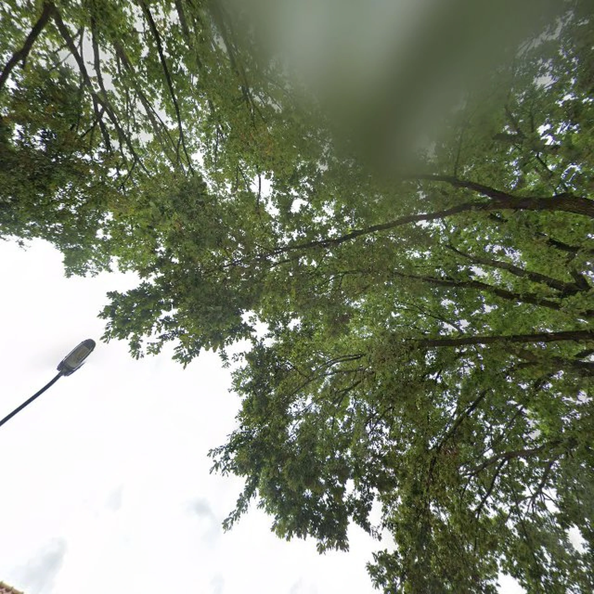 Kringloopwinkel Kringloopwinkel La Poubelle, Rijen in Rijen