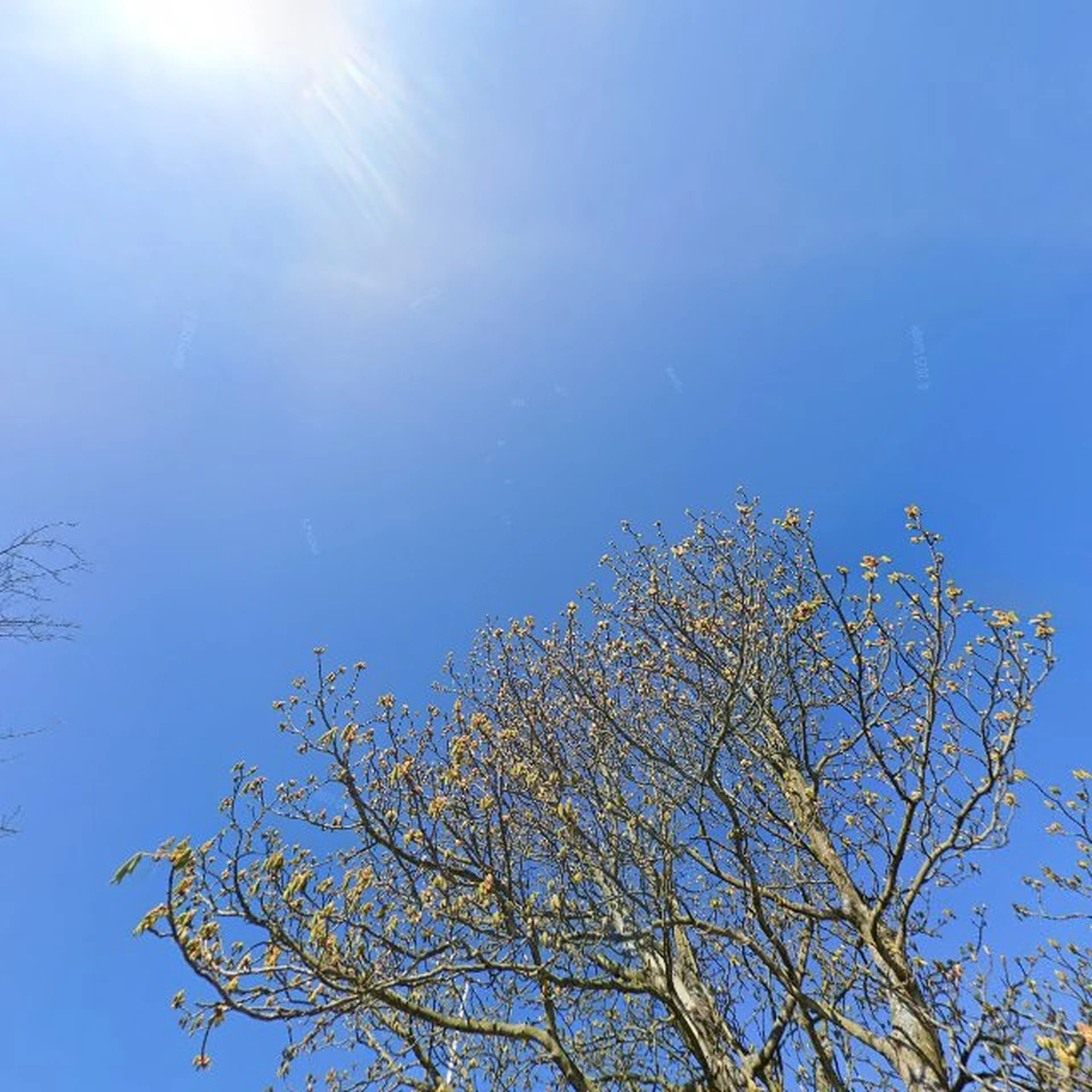 Kringloopwinkel Kringloopwinkel Leger des heils in Den Helder