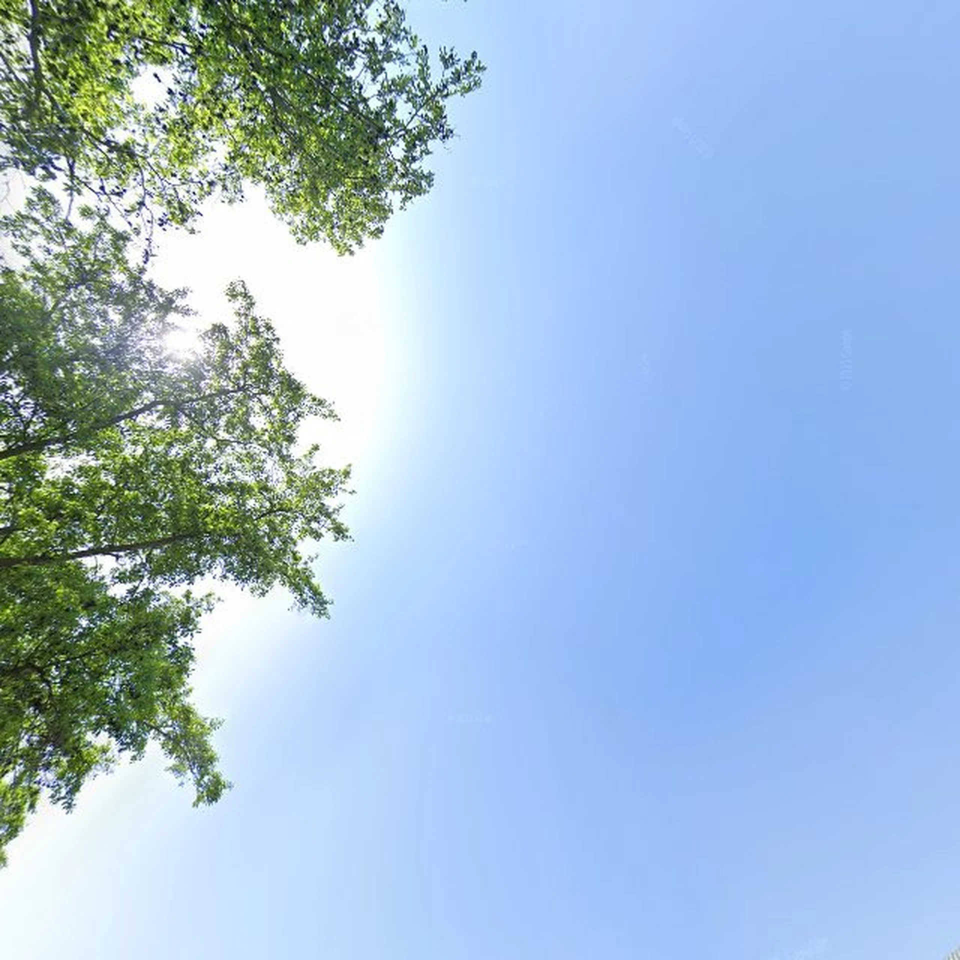 Kringloopwinkel Kringloopwinkel Leger des Heils Korps Goes in Goes