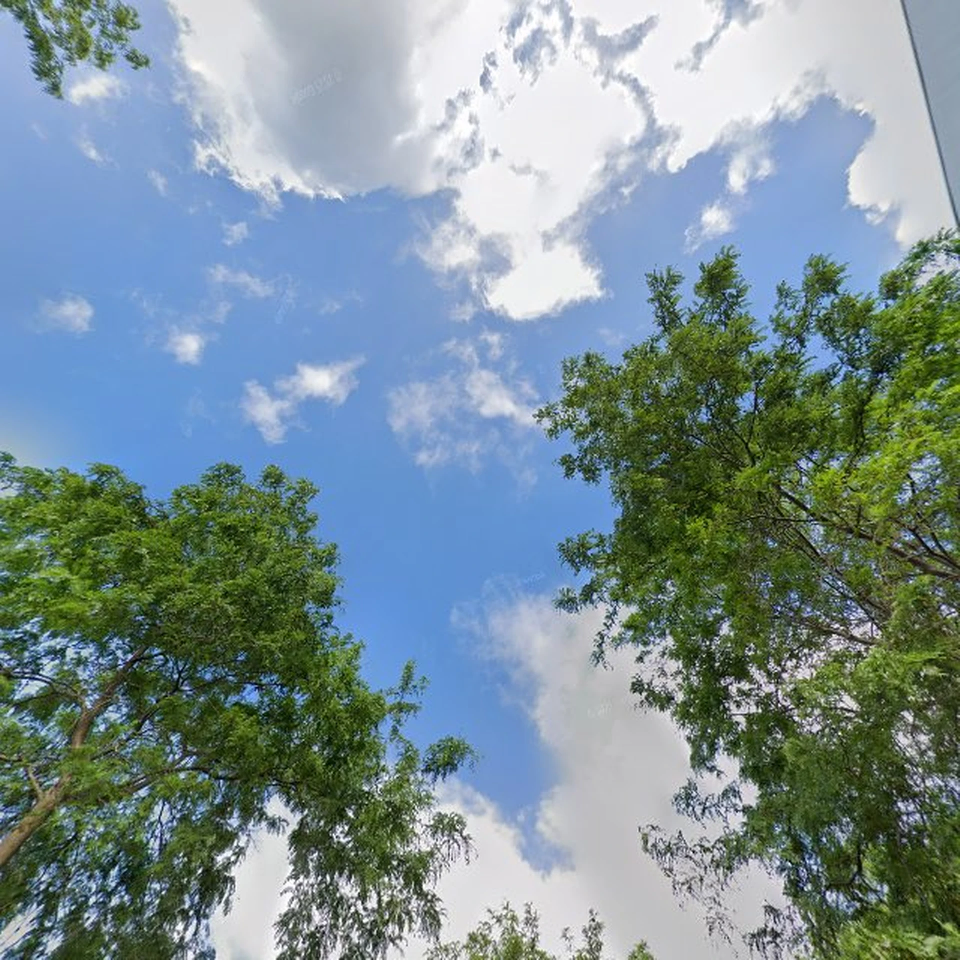 Kringloopwinkel Leger Des Heils Tweedehands Kleding Winkel in Arnhem