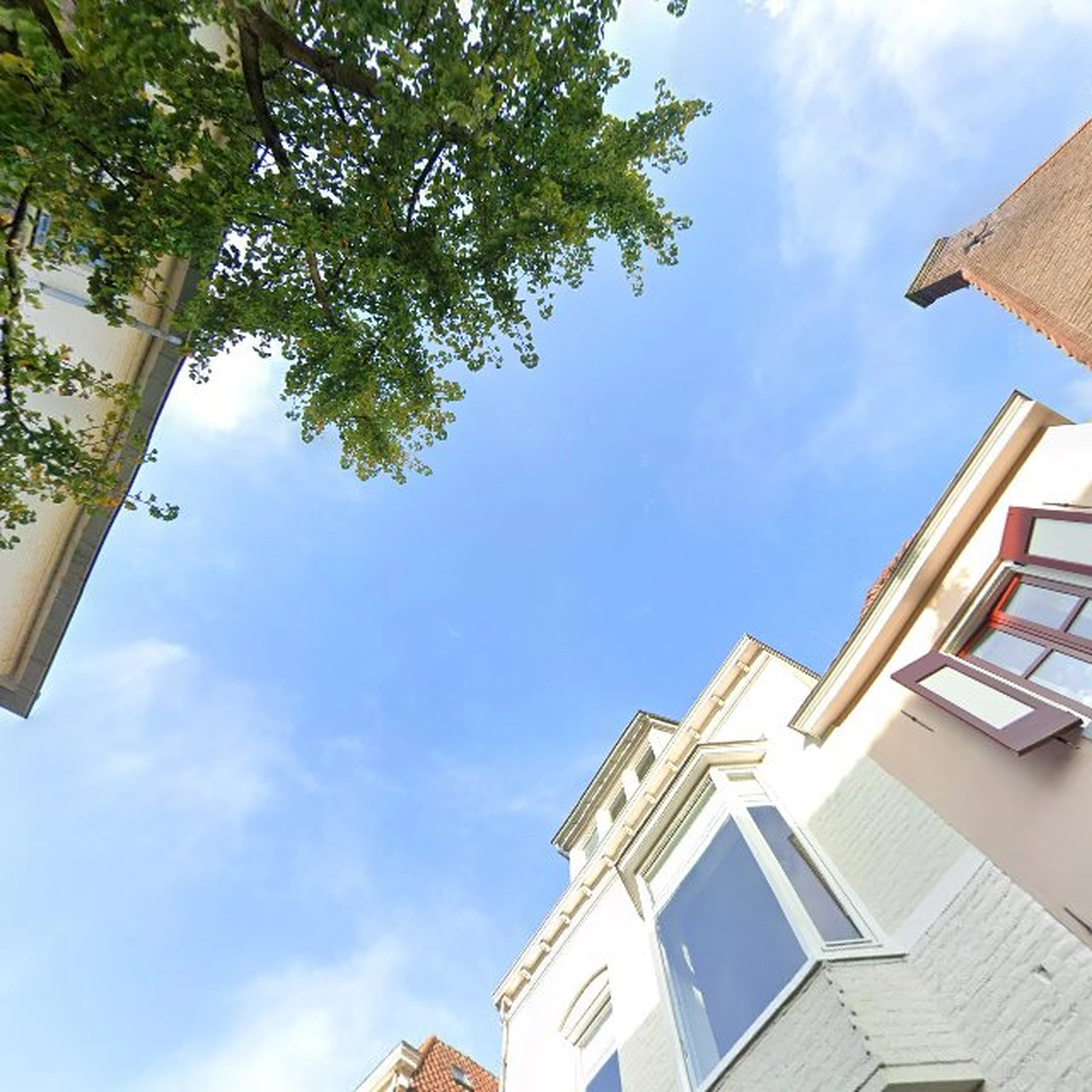 Kringloopwinkel Kringloopwinkel Lepra winkel Deventer in Deventer