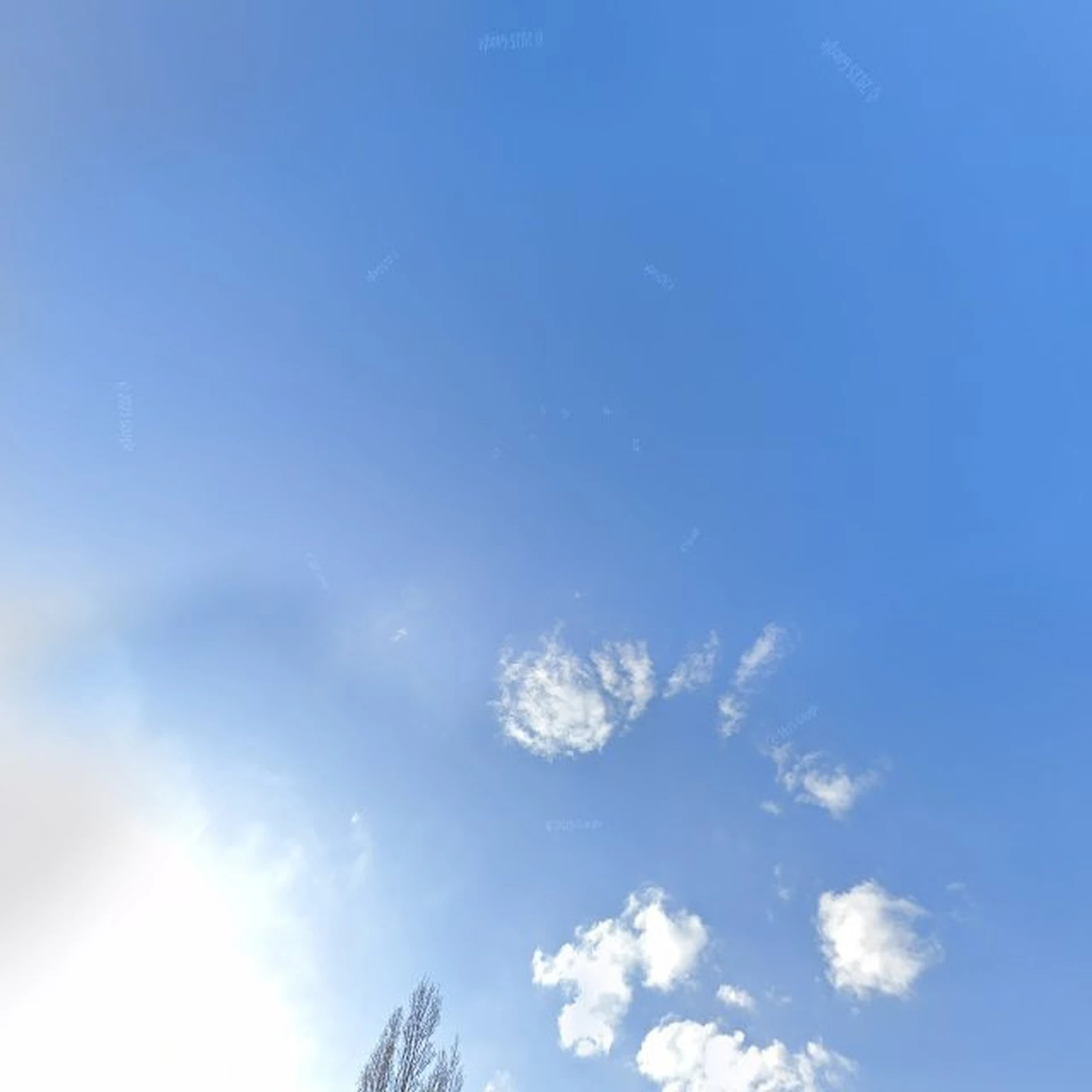 Kringloopwinkel Kringloopwinkel Leuke spullen Vlissingen in Vlissingen