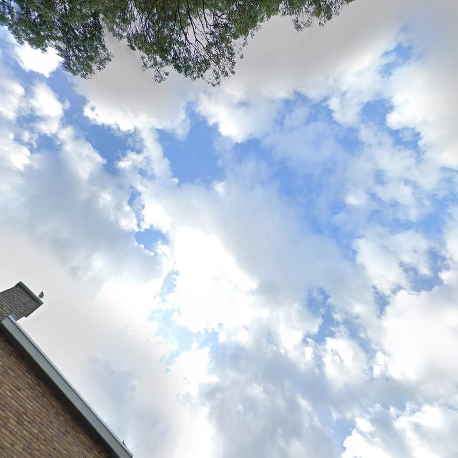 Kringloopwinkel Kringloopwinkel Loev in Den Haag