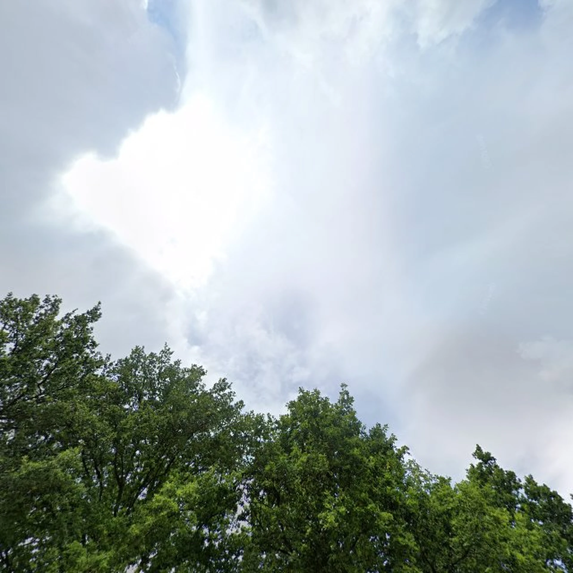 Kringloopwinkel Kringloopwinkel Lowbudget 2 chance in Emmen