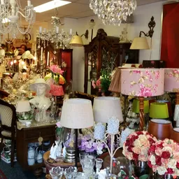 Uitgestalde lampen, bloemen, decoratie en huisraad in een kringloopwinkel