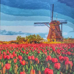 Bezoeker foto van M-accent Kringloopwinkel Eeklo in Eeklo