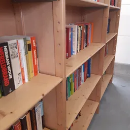 Houten boekenkasten met tweedehands boeken in verschillende kleuren en formats