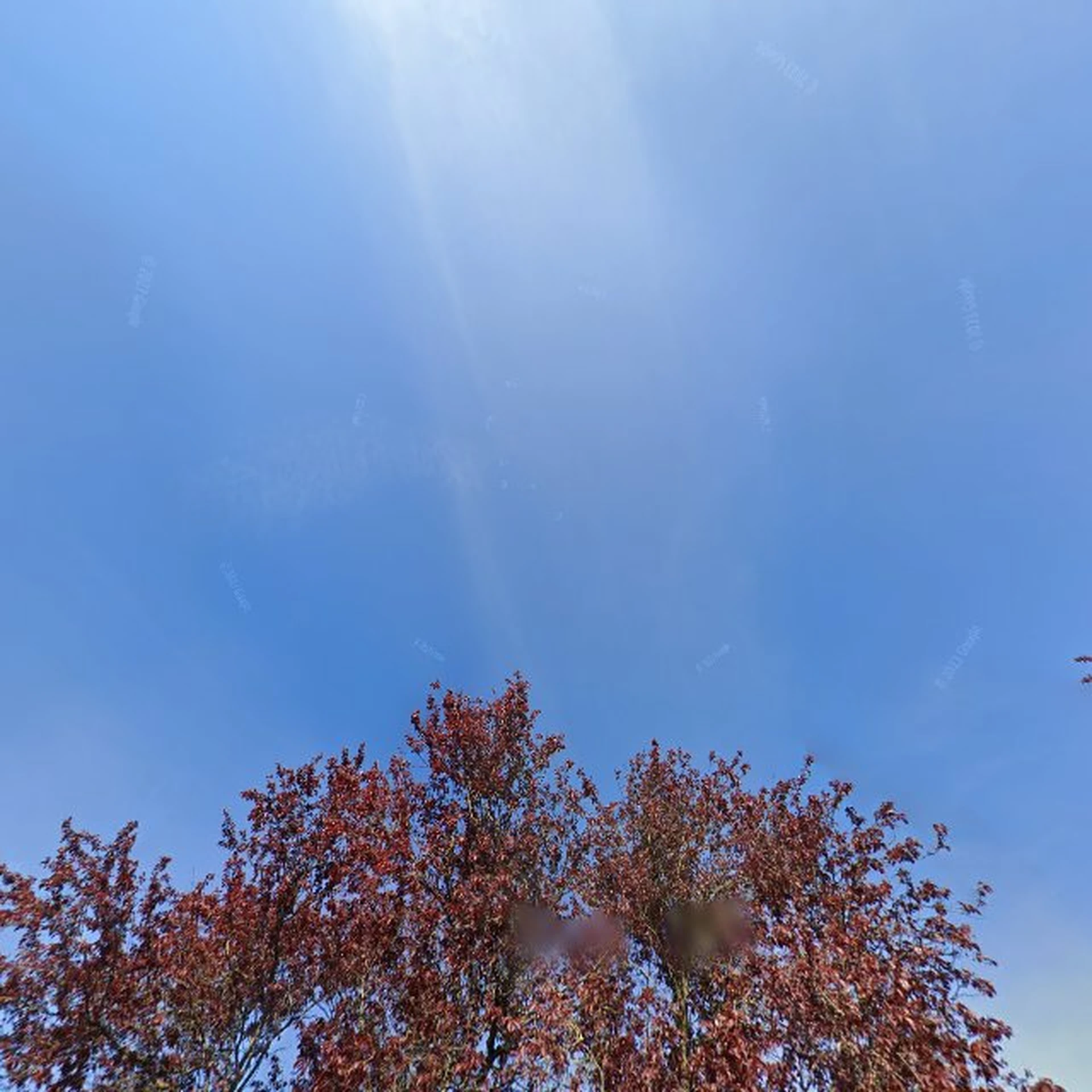 Kringloopwinkel Kringloopwinkel MalawiShop Zundert in Zundert