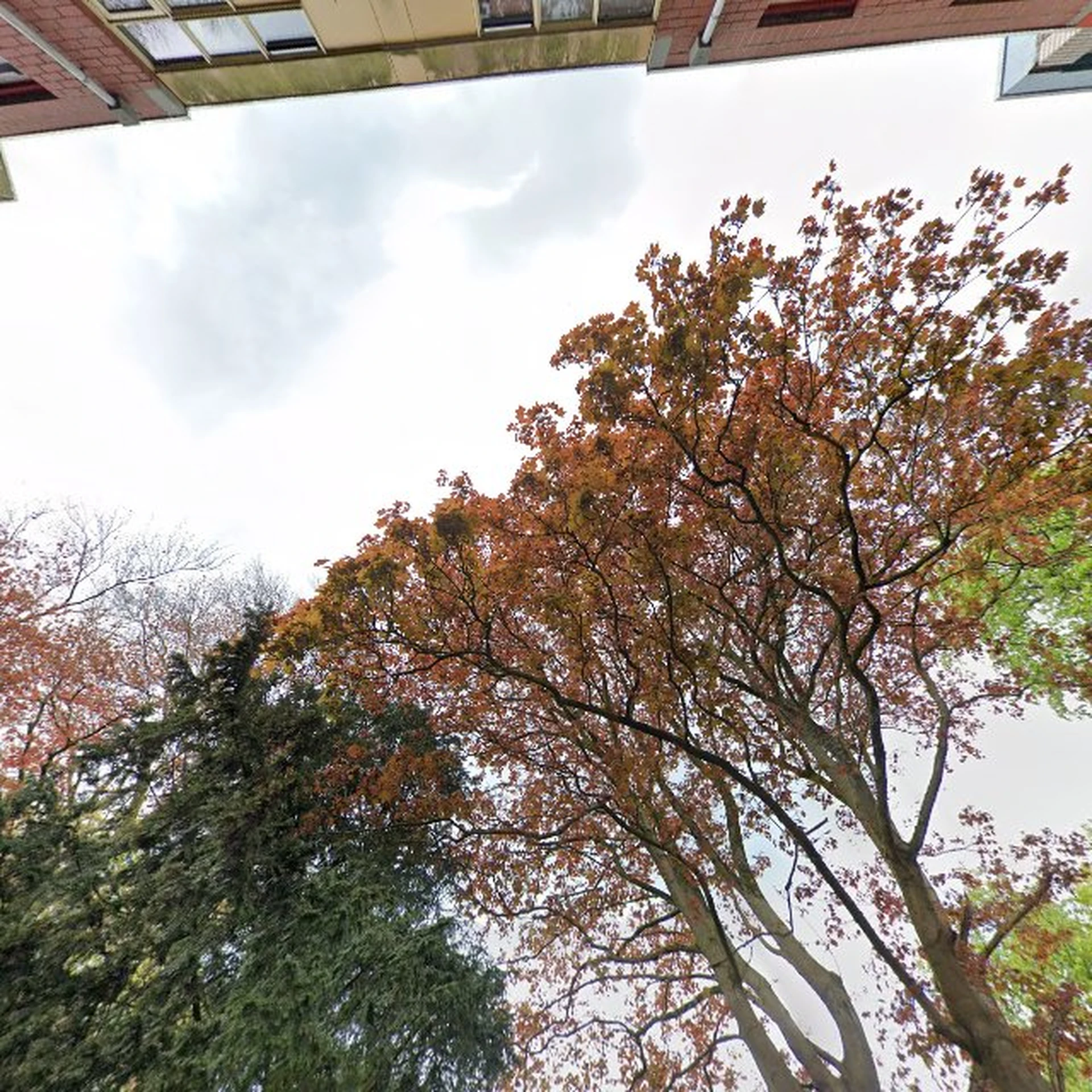 Kringloopwinkel Mamamini Noorderplantsoen in Groningen