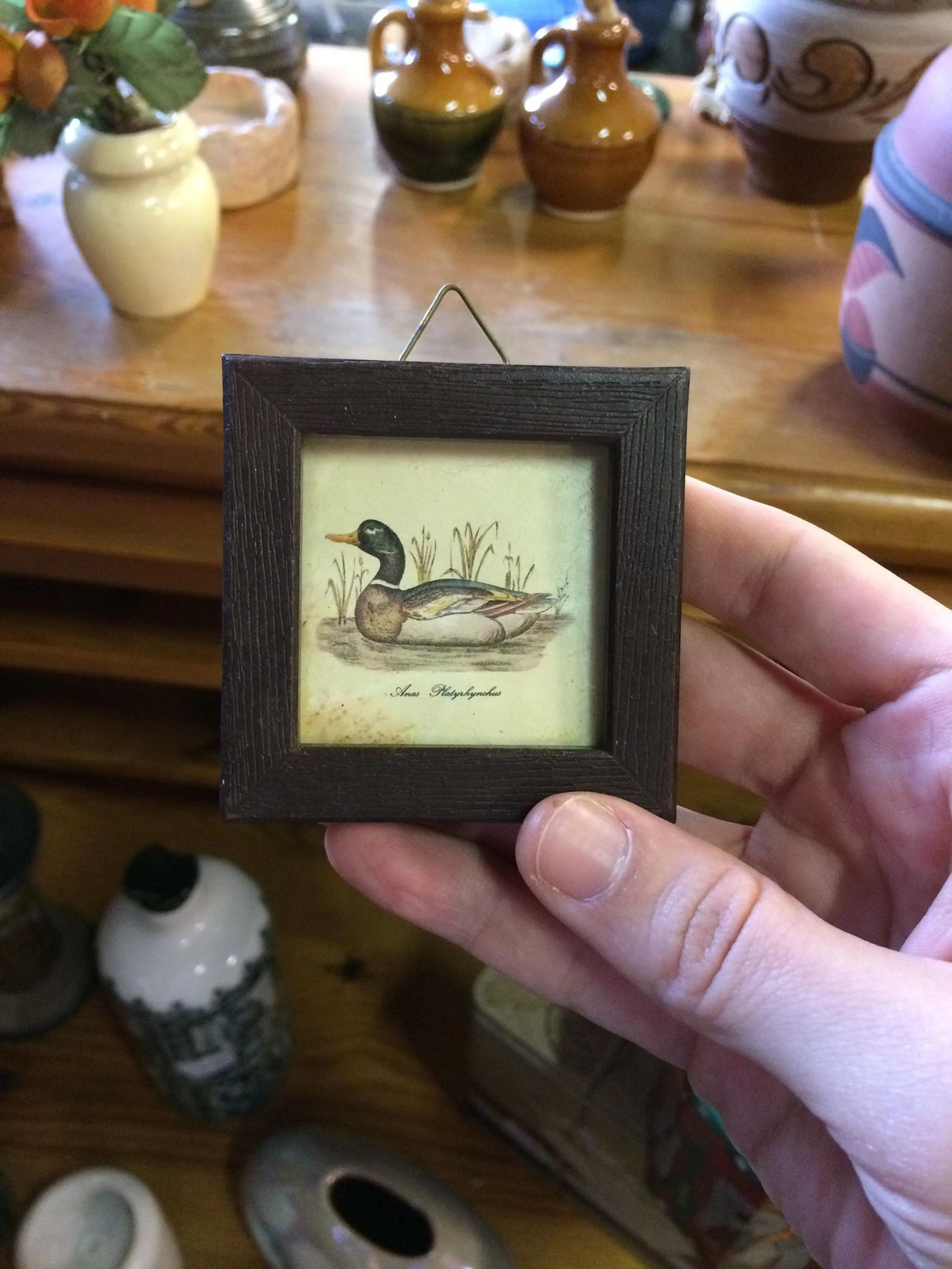 Ingelijste vintage tekening van een eend in zwart houten frame, gehouden in hand