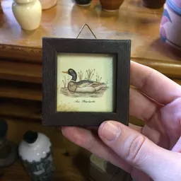 Ingelijste vintage tekening van een eend in zwart houten frame, gehouden in hand