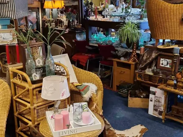 Inrichting van kringloopwinkel met rattanmeubels, lampen, planten en diverse decoratie