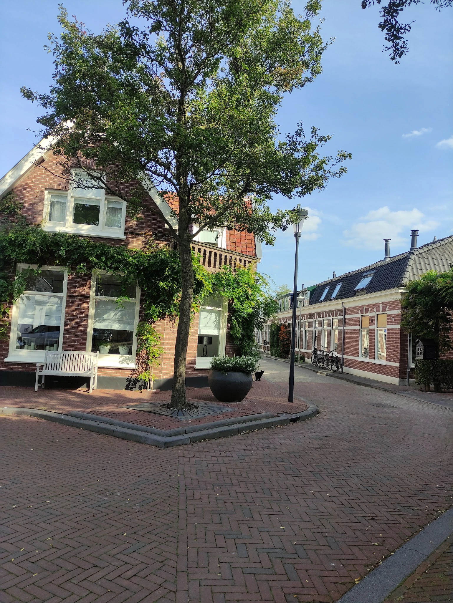 Voorgevel van bakstenen winkelpand aan Raadhuisstraat in Alphen aan den Rijn, met grote ramen en groene klimop