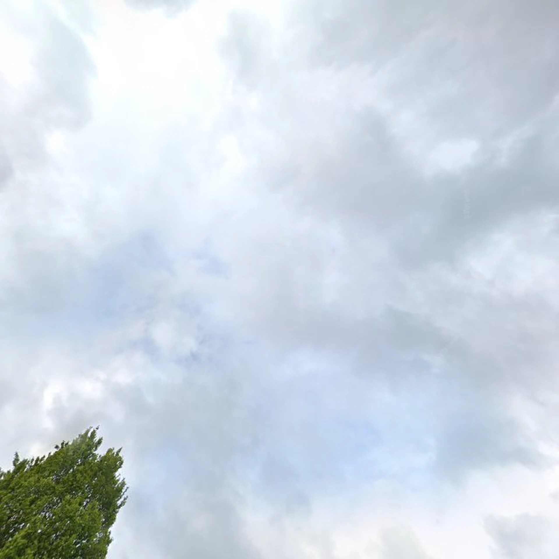 Kringloopwinkel Moda tweedehands kleding in Veenendaal