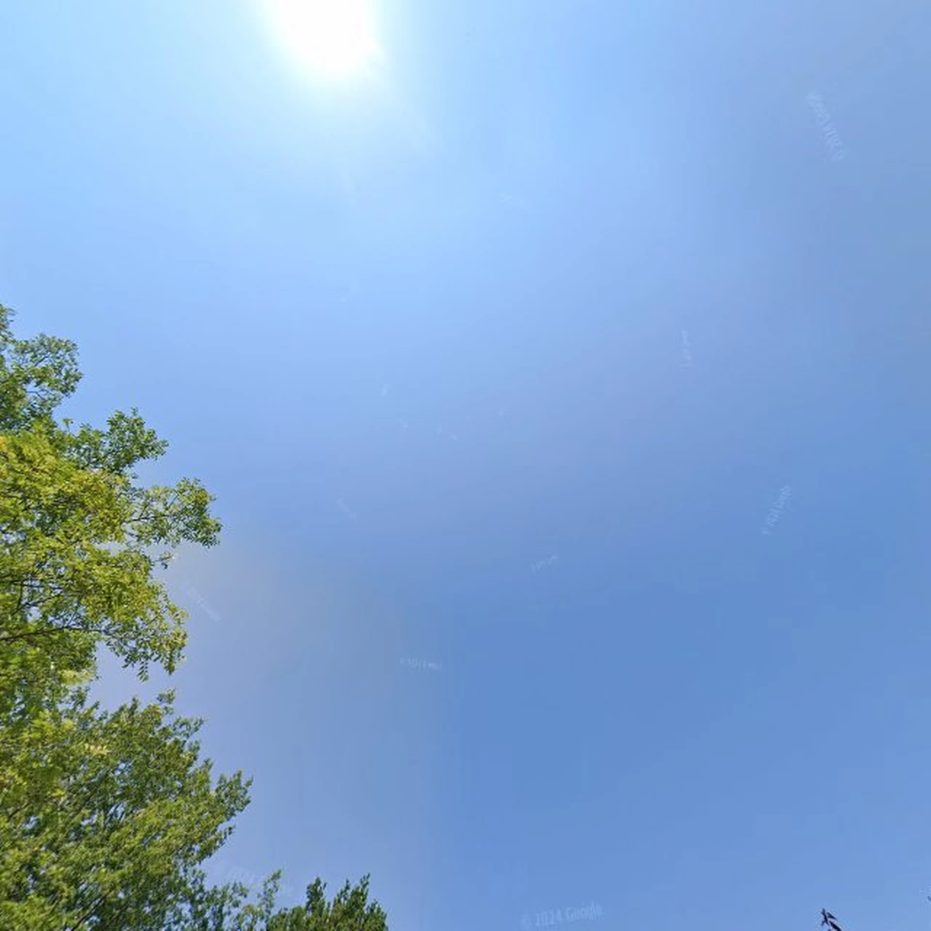 Kringloopwinkel Kringloopwinkel Mooie Troep (webwinkel / afhalen) in Zuidlaren