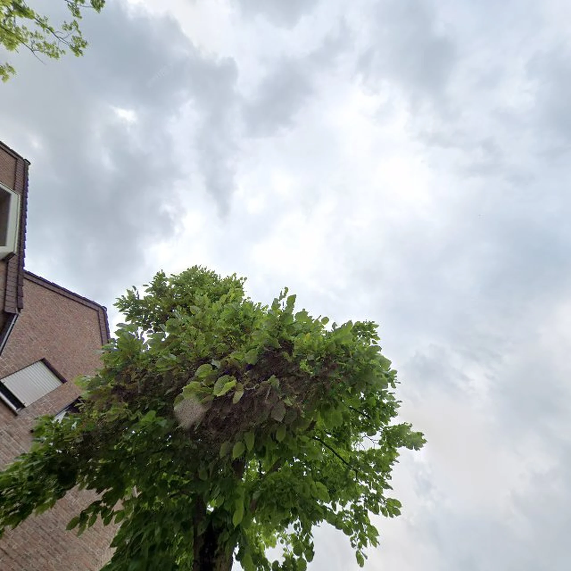 Kringloopwinkel Mox An - Und Verkauf & Haushaltsauflösungen Xanten in Xanten