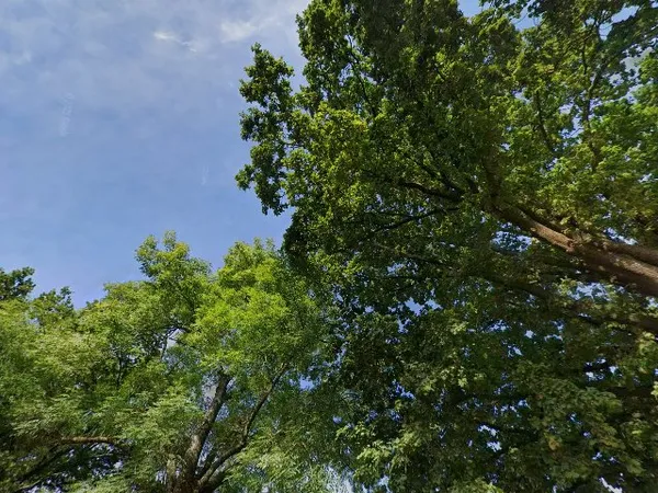 Kringloopwinkel Nandri in Zevenaar