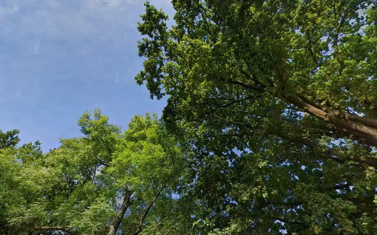 Kringloopwinkel Nandri in Zevenaar