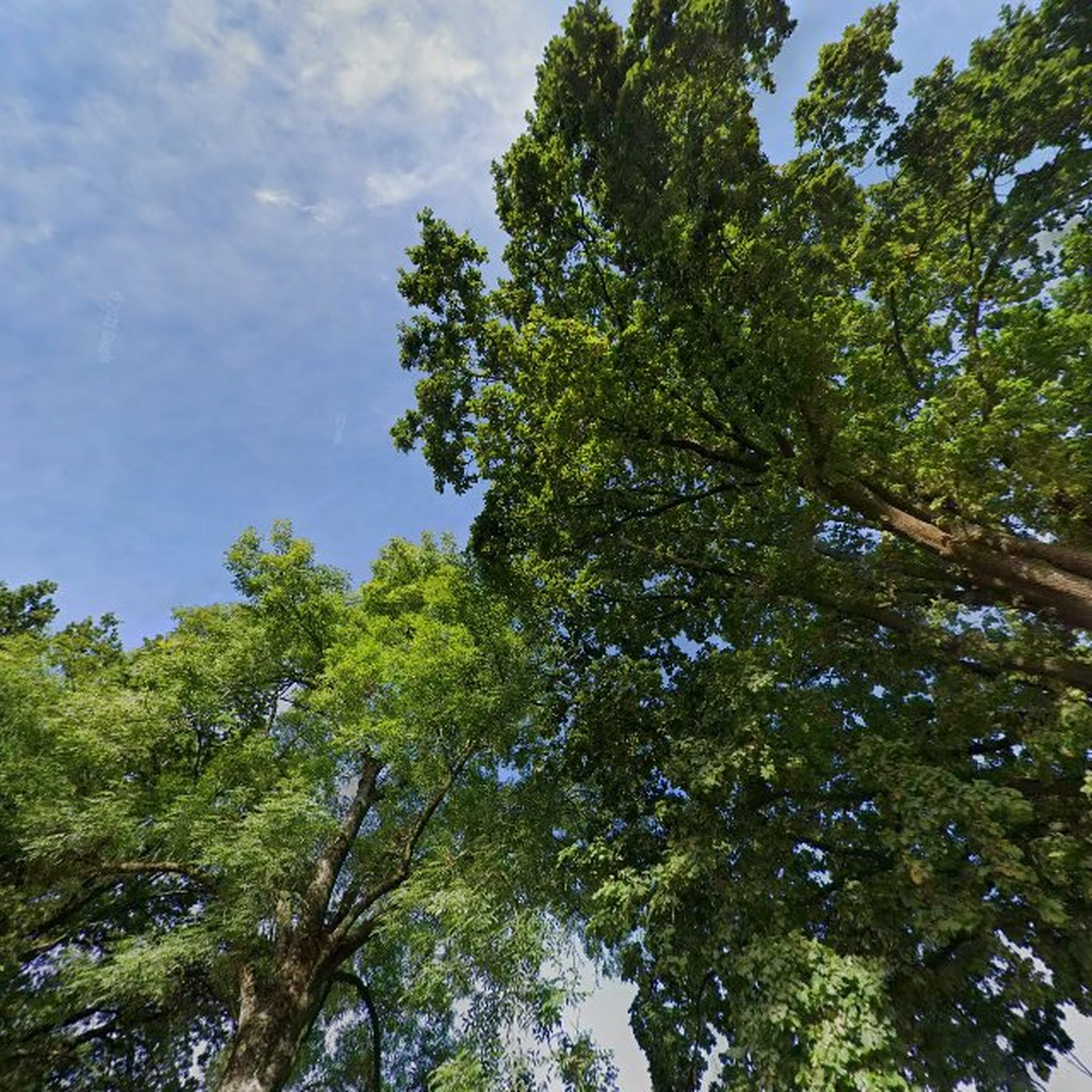 Kringloopwinkel Nandri in Zevenaar