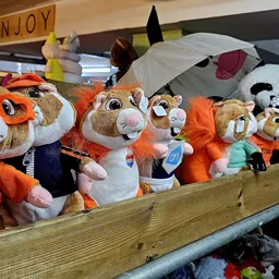 Kringloopwinkel Nieuwe Hoop Kringloop Rotterdam Kralingen in Rotterdam