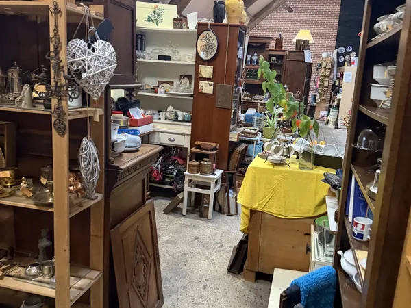 Overzicht van de winkelruimte met houten kasten, stellingen met diverse spullen, een gele doek over een tafel en een plant