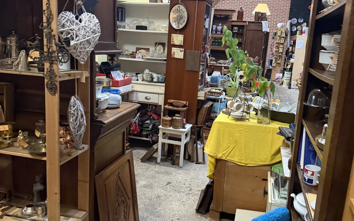 Overzicht van de winkelruimte met houten kasten, stellingen met diverse spullen, een gele doek over een tafel en een plant