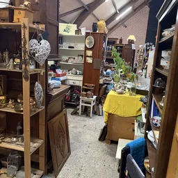 Overzicht van de winkelruimte met houten kasten, stellingen met diverse spullen, een gele doek over een tafel en een plant