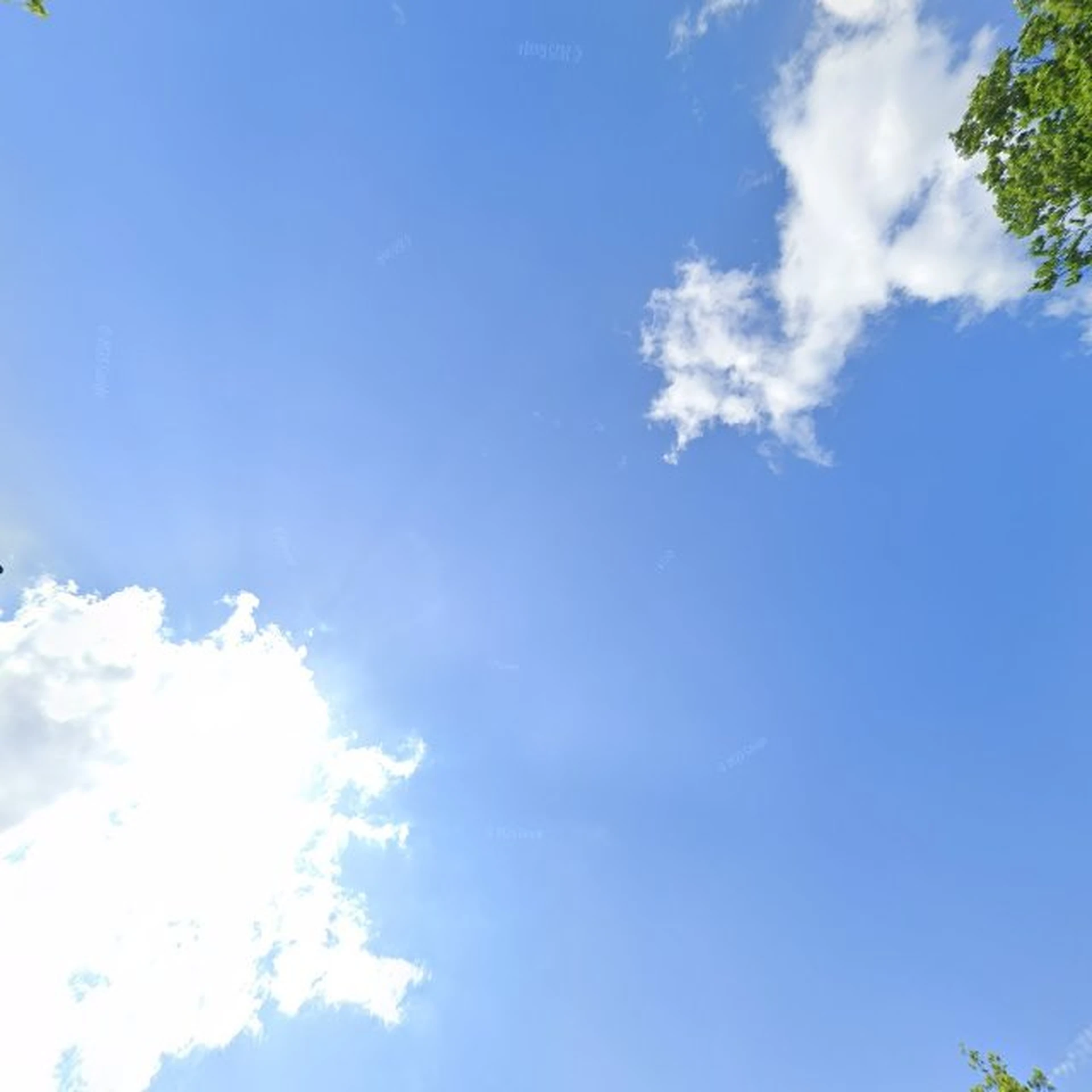 Kringloopwinkel Nobel kringloopwarenhuis in Goes