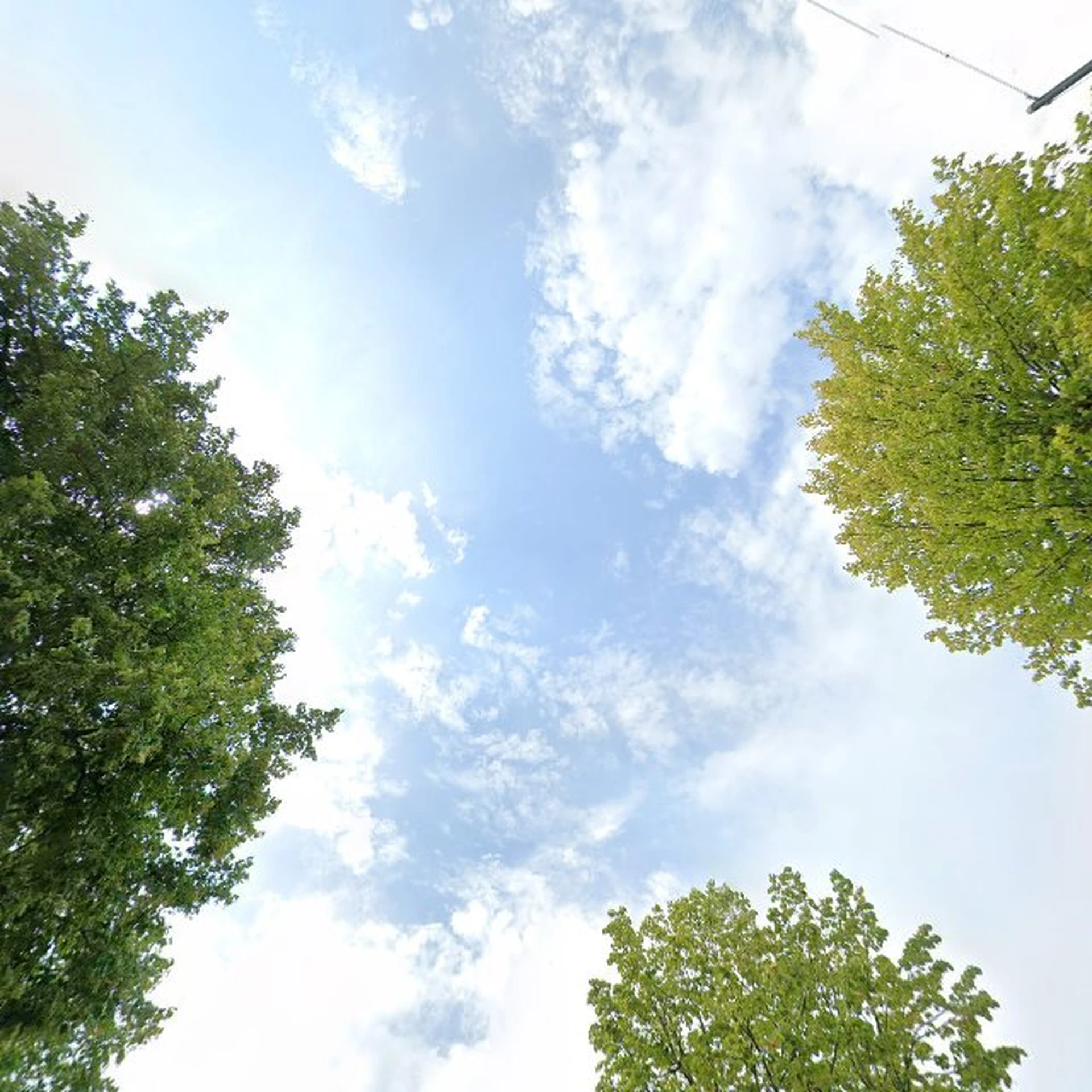 Kringloopwinkel Kringloopwinkel NochRis 2.0 in Sint Annaparochie