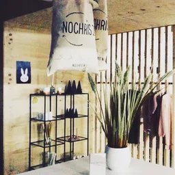 Winkelinterieur met witte wand, houten scheidingswand, stellage met decoratie, potplanten en kleding aan rekken