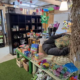 Bezoeker foto van Kringloopwinkel NochRis 2.0 in Sint Annaparochie