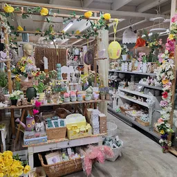 Bezoeker foto van Kringloopwinkel NochRis 2.0 in Sint Annaparochie