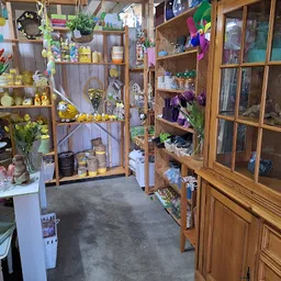 Bezoeker foto van Kringloopwinkel NochRis 2.0 in Sint Annaparochie