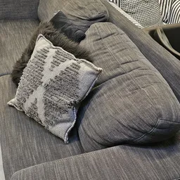 Grijze stoffering met decoratief kussen op grijze bank of zetel