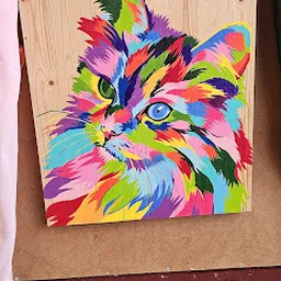 Bezoeker foto van Kringloopwinkel Noggus & Noggus Ommen in Ommen