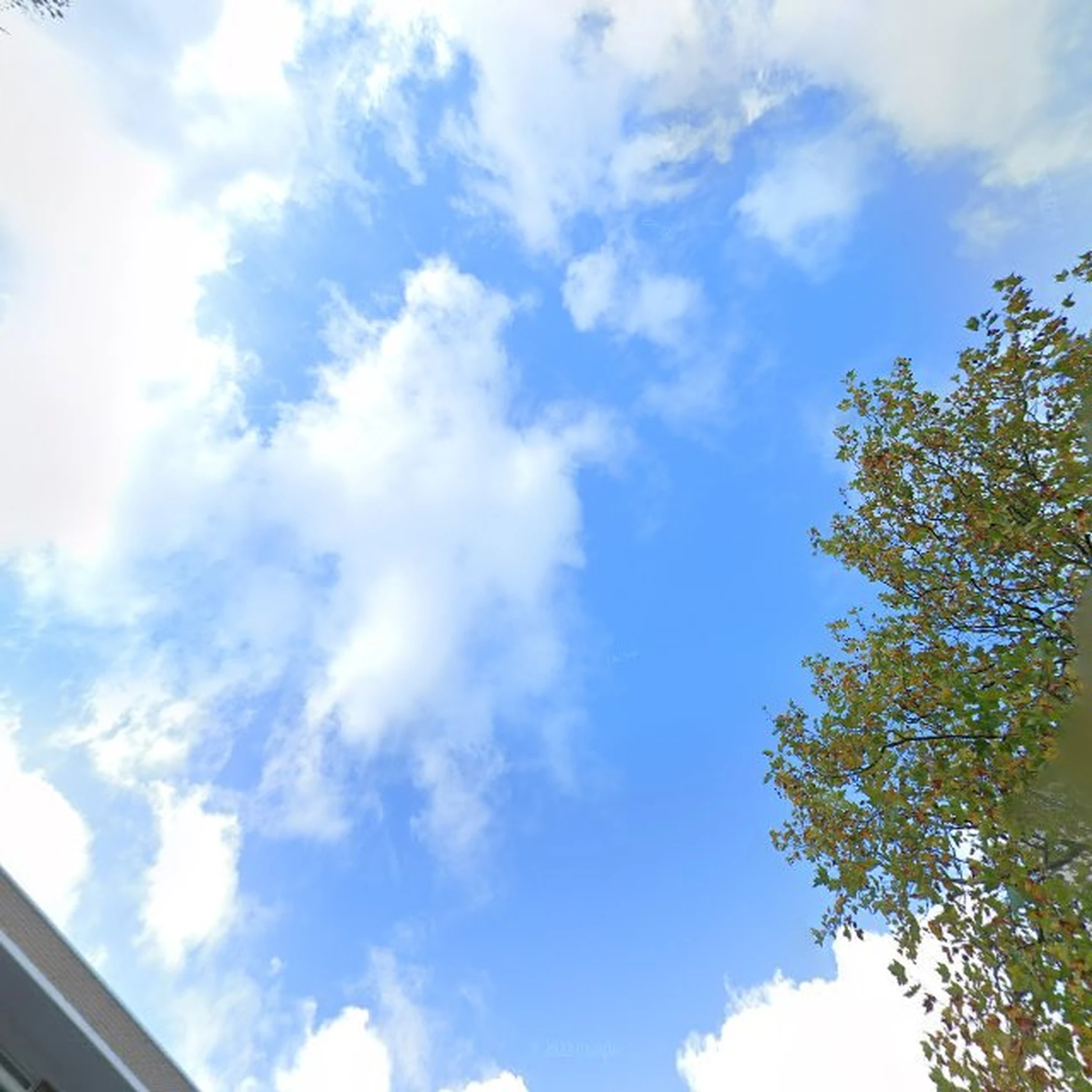 Kringloopwinkel Kringloopwinkel Nogmaals Franken in Wassenaar