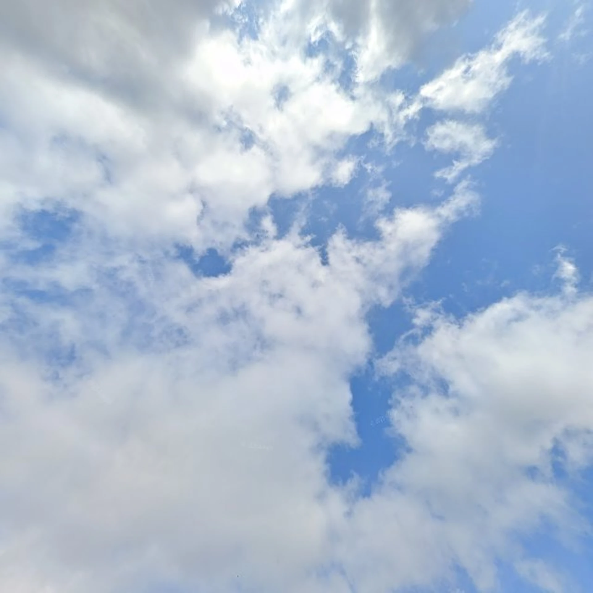 Kringloopwinkel Kringloopwinkel Noppes Grootebroek in Grootebroek