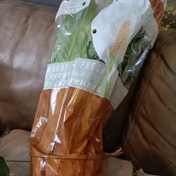 Bezoeker foto van Kringloopwinkel Noppes Nieuwegein in Nieuwegein