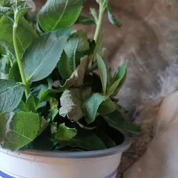 Bezoeker foto van Kringloopwinkel Noppes Nieuwegein in Nieuwegein