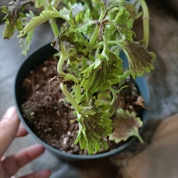 Bezoeker foto van Kringloopwinkel Noppes Nieuwegein in Nieuwegein