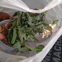 Bezoeker foto van Kringloopwinkel Noppes Nieuwegein in Nieuwegein