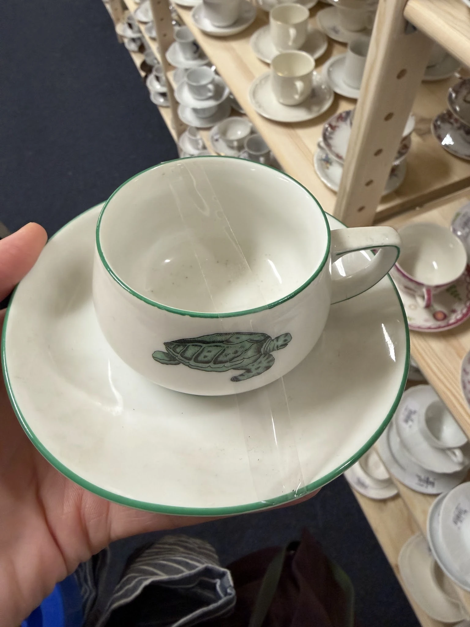 Witte kopje en schotel met groen randje en schildpadillustratie, vastgehouden in hand