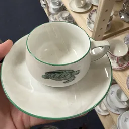 Witte kopje en schotel met groen randje en schildpadillustratie, vastgehouden in hand