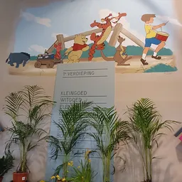 Winkelinterieur met Winnie de Poeh-decoratie aan de muur en potplanten op een display.