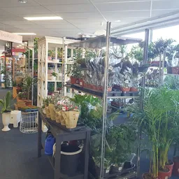 Bezoeker foto van Kringloopwinkel Noppes Velserbroek in Velserbroek