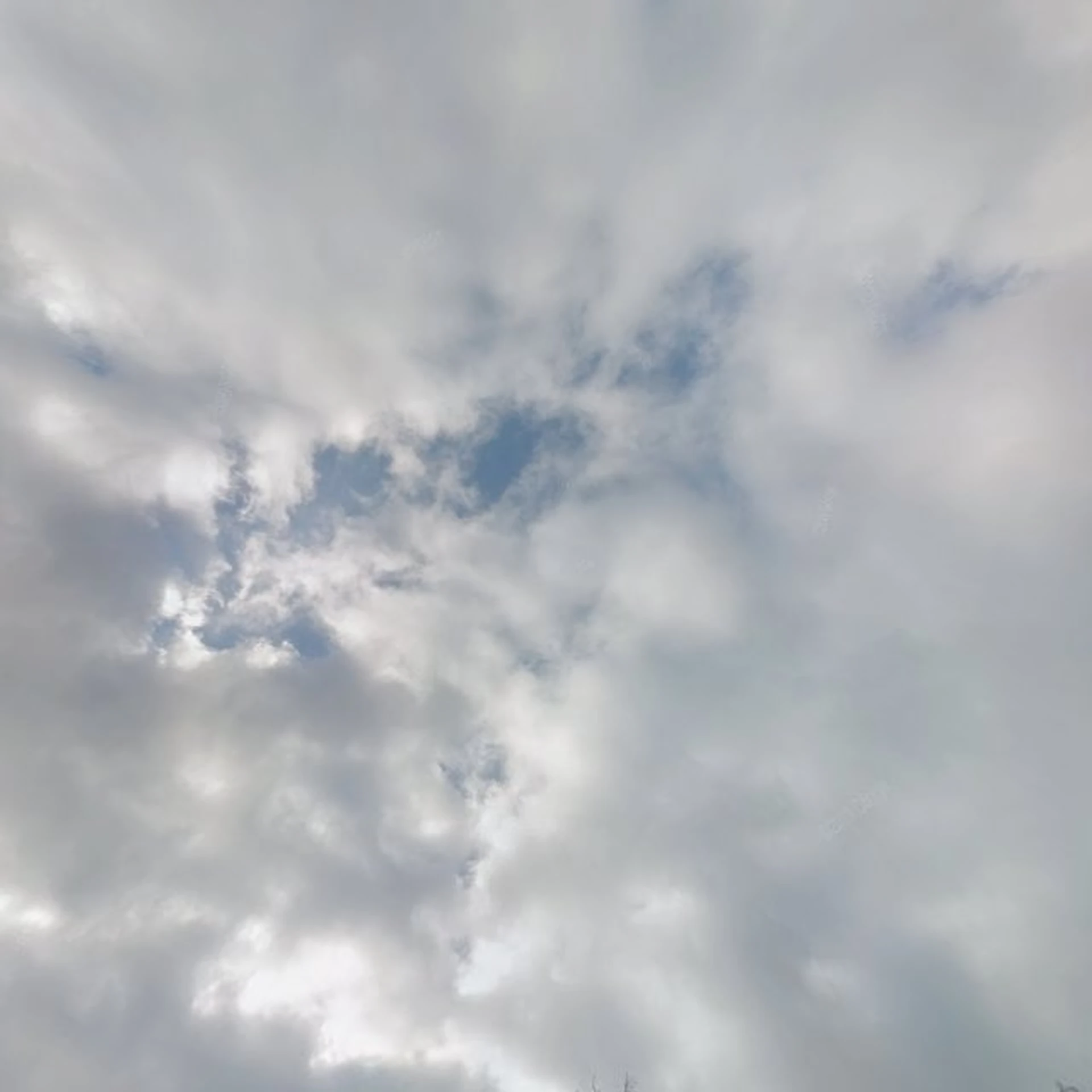 Kringloopwinkel Kringloopwinkel Nummer7andermaal in Brielle