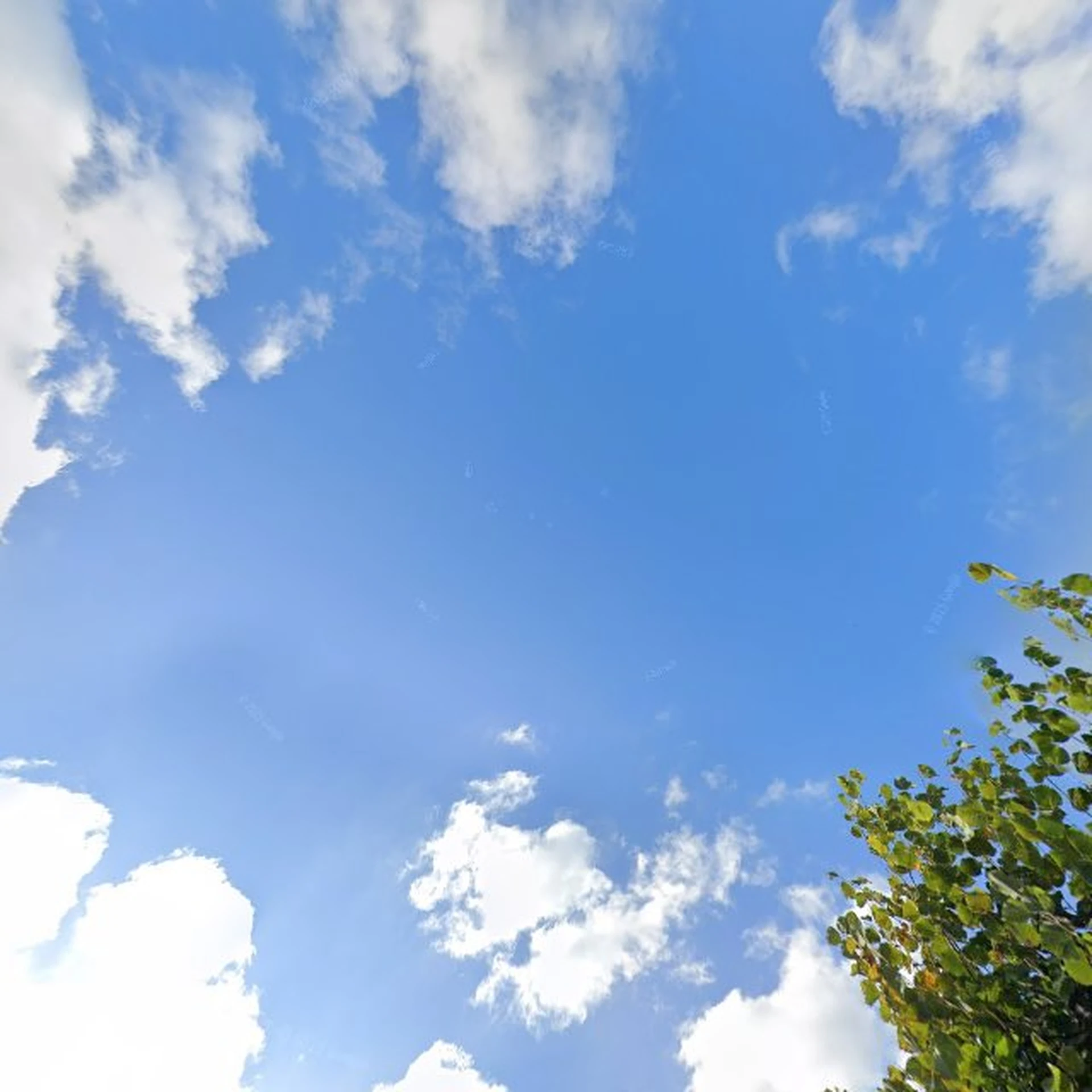 Kringloopwinkel [GESLOTEN] O'Livia dagbesteding &amp; kringloopwinkel in Hurdegaryp