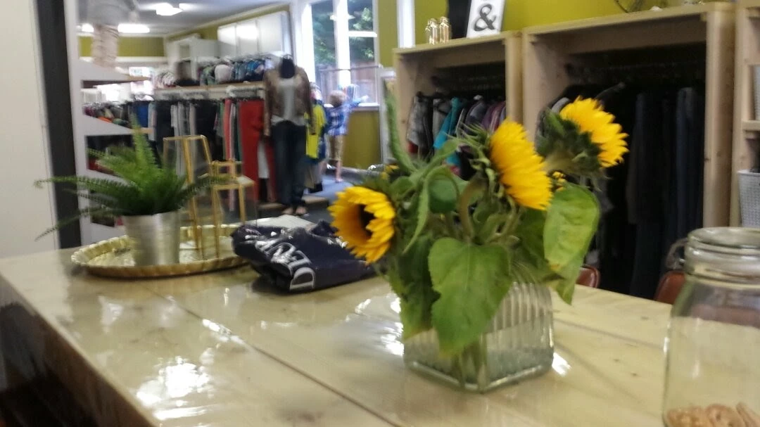 Winkelinterieur met gele zonnebloemen in vaas op toonbank en stellingen op achtergrond
