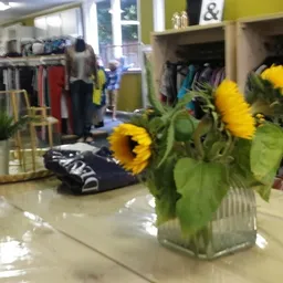 Winkelinterieur met gele zonnebloemen in vaas op toonbank en stellingen op achtergrond